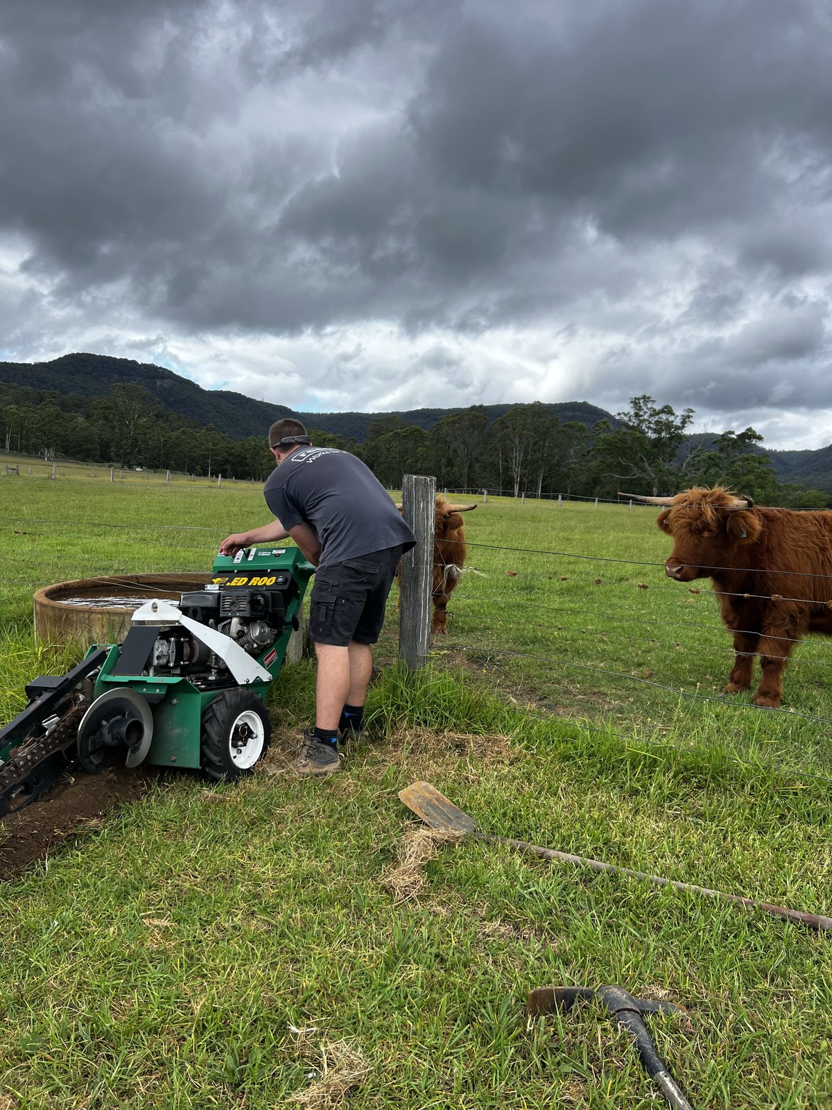 Rural irrigation and water filtration project at Cessnock acreage with livestock NSW