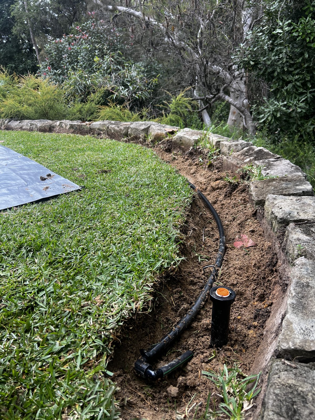 Custom Irrigation Solutions team installing residential sprinkler system on Sydney property