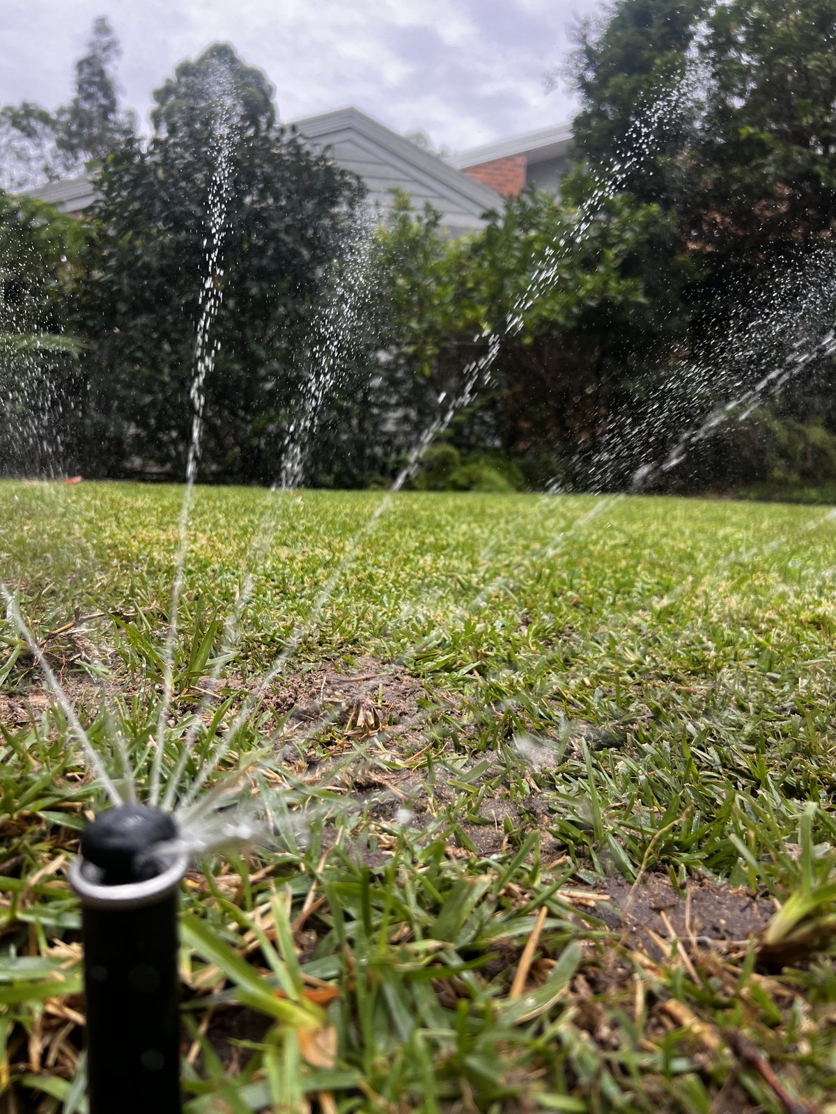 Hunter MP Rotator irrigation upgrade project completed in South Turramurra Sydney